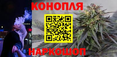 гидра Краснознаменск
